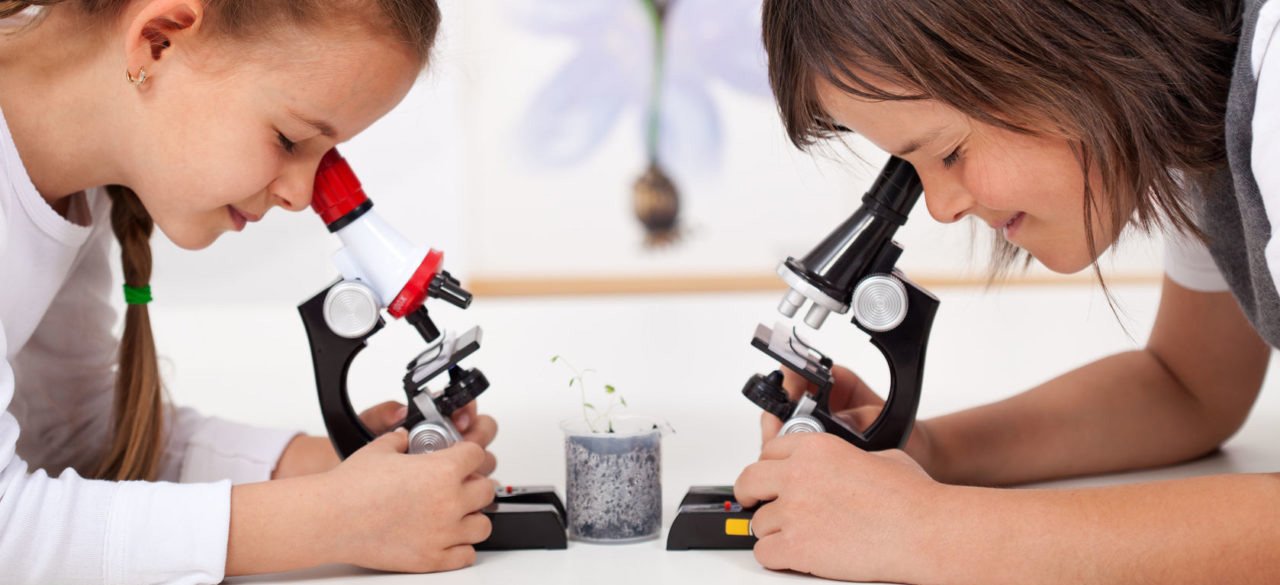 микроскопы детские в Ставрополе